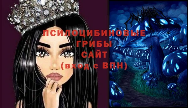 твердый Корсаков