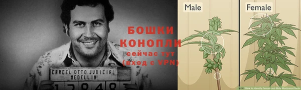mdma Краснослободск