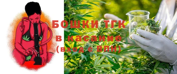твердый Корсаков