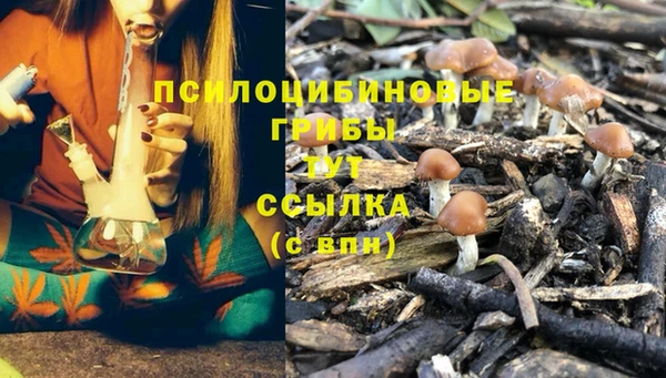 прущий лед Березники