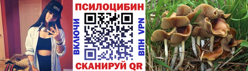 Галлюциногенные грибы ЛСД  Купить где  Кремёнки 